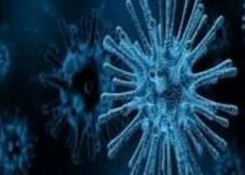 ITIC warns of issues with receiving original bills of lading