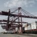 APM Terminals Mumbai handled over 2 million teu for the second year in a row