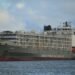 Search for Gulf Livestock 1 Survivors Officially Suspended-- Forty Crew, 5,800 Cows Lost Under Pressure, Shipowner Calls for Renewed Search for ‘Gulf Livestock 1’ Survivors