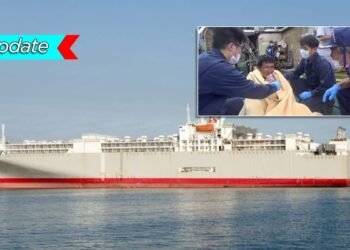 Update | Video: Two Crew Rescued, One Dead And 41 Still Missing From Livestock Ship Gulf 1