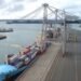 Man Crushed To Death By Container In Fergusson Container Terminal, Port Of Auckland Port