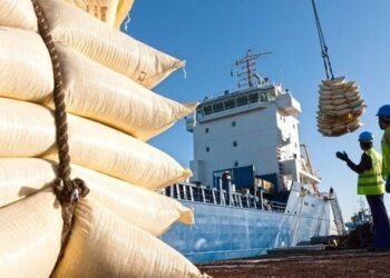 Improved software for Abu Dhabi general cargo operations