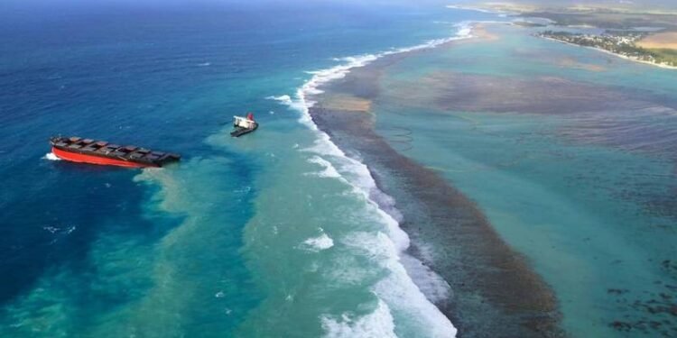 Wakashio Owner Apologizes, Says it Supports Crew after Arrests over Mauritius Oil Spill