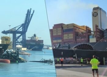 Video: MSC’s Giant Container Ship Collides With Gantry Crane In Valencia, Spain