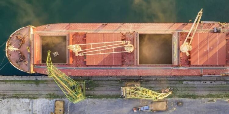 Argentina: Grains Port Workers Delay Strike