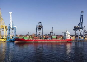 Egypt Disposing of Dangerous Materials at Ports