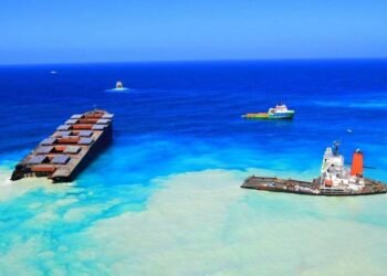 India Sends Team to Mauritius to Tackle Wakashio Oil Spill