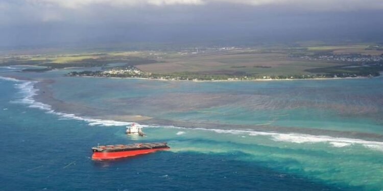 Mauritius Arrests Captain of the Stricken Wakashio