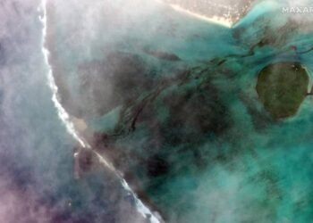 Op/Ed: Government Response Should be Investigated After Wakashio Spill