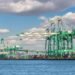 U.S. Violated Trade Rules With Tariffs on China, WTO Says