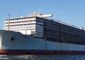 S.African Court Allows Livestock Ship to Sail amid Cruelty Concerns