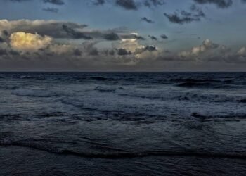 Somali Pirates Release Last of Hostages Captured in 2015