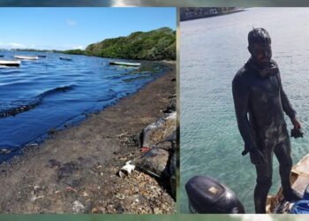 Oil Pumped Out Of Stranded Cargo Ship, Mauritius Seeks Compensation From Ship Owner