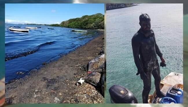 Oil Pumped Out Of Stranded Cargo Ship, Mauritius Seeks Compensation From Ship Owner