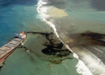 Wakashio Bulk Carrier vessel has hit the coral reefs at Blue Bay in Mauritius