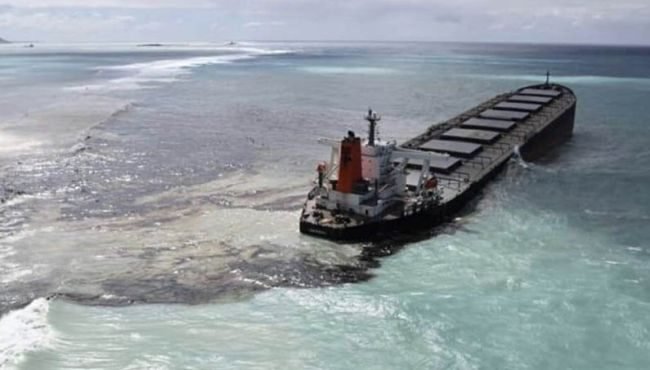 Mauritius Oil Spill back view