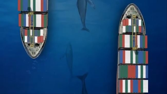 Panama Canal Reiterates Maritime Standards For Protection Of Cetaceans Panama Canal Reiterates Maritime Standards For Protection Of Cetaceans