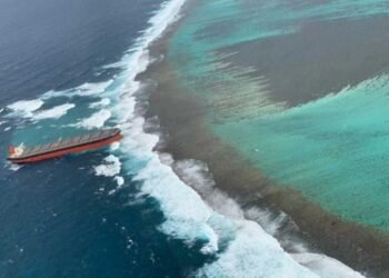 Wakashio Bulk Carrier vessel has hit the coral reefs at Blue Bay in Mauritius