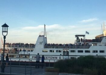 celebrating the covid season in boston harbor