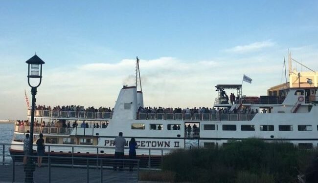 celebrating the covid season in boston harbor