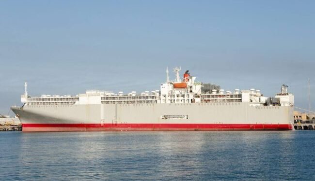 Livestock Vessel With 43 Crew, 5800 Cattle Goes Missing Off SW Japan livestock ship representation