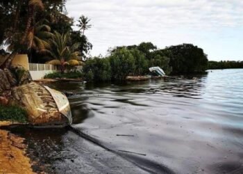 mauritius oil spill