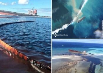 wakashio 2 mauritius cargo tanker japanese oil spill