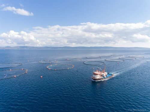 ABS publishes Hybrid Power Guidance to Aid Industry in reaching Decarbonization targets