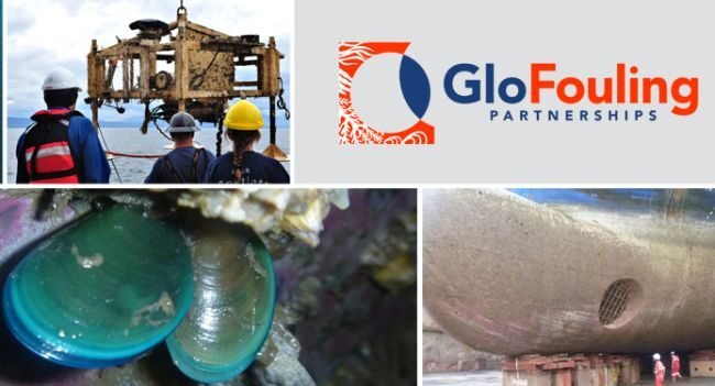 Glofouling