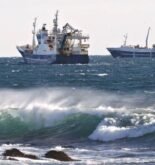NGOs Call For Heavy Fuel Oil (HFO) Ban In Icelandic Waters Regulation Banning The Use Of Heavy Fuel Oil In The Territorial Sea Of Iceland