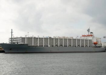 New Zealand to Review Livestock Shipping After Capsizing