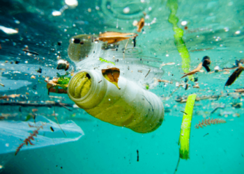 plastic ocean
