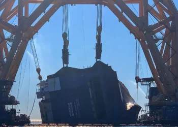 cut under way golden ray