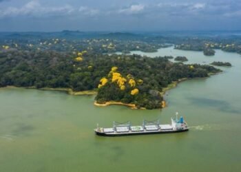 Panama Canal Secures Steady Draft, Operational Reliability Following Water Measures