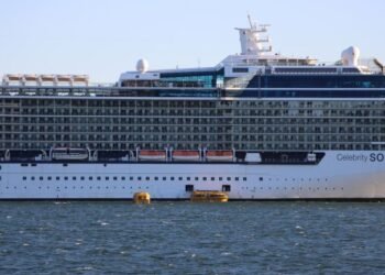 Morrison Government condemned for treatment of cruise ship crews