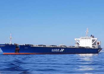 SAFEEN, Abu Dhabi Ports’ maritime service arm, has announced a successful acquisition of a Post Panamax bulk carrier, making it largest vessel ever to join its inventory.