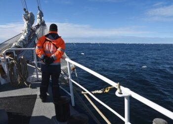 WMU Calls On Global Maritime Communities To Join Forces To Protect Seafarers’ Rights