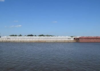 Wasted Words: Post-casualty Apologies Are ‘Sorry’ Excuses