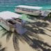 Damen To Supply Five Coastal Ferries To Zanzibar Government DFe 804 DFe1204-AI-Impression beach_