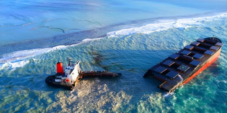 VIDEO CLIP: Bulker based off Mauritius divides in 2 image description