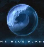 15 Amazing Ocean Documentaries You Must Watch BBC Blue Planet