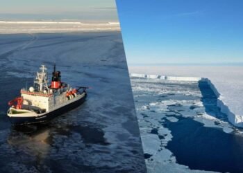 Watch: Researchers Study Life At Sea Floor Beneath Giant Abandoned Iceberg Twice The Size of Berlin