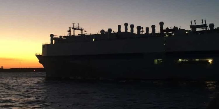 Livestock Carrier Silhouette