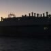 Livestock Carrier Silhouette