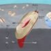 HKBU - - Research Unlocks Genomic Secrets Of Organisms That Thrive In Extreme Deep-Sea Environments