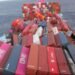 One Apus dislodged containers