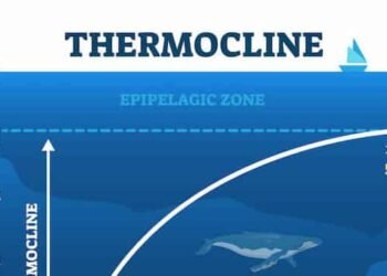Understanding Thermoclines In Ocean Waters