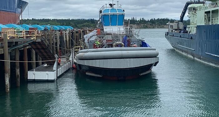 First in a brand-new collection of Navy pulls introduced image description