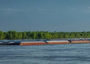 Implementing VIDA: The Next Step Forward