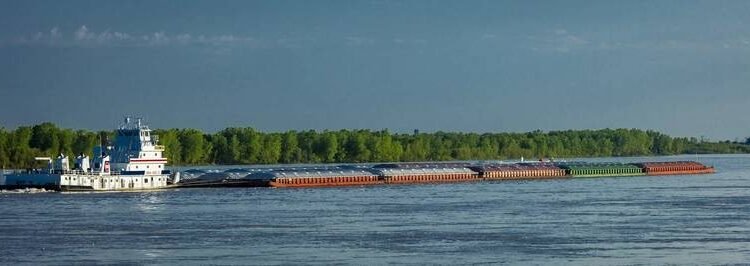 Implementing VIDA: The Next Step Forward